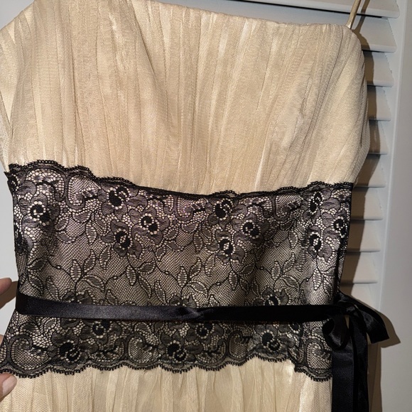 OC OLEG CASSINI VINTAGE INSPIRED TULLE SILK LINED DRESS SZ 8 - Picture 9 of 12